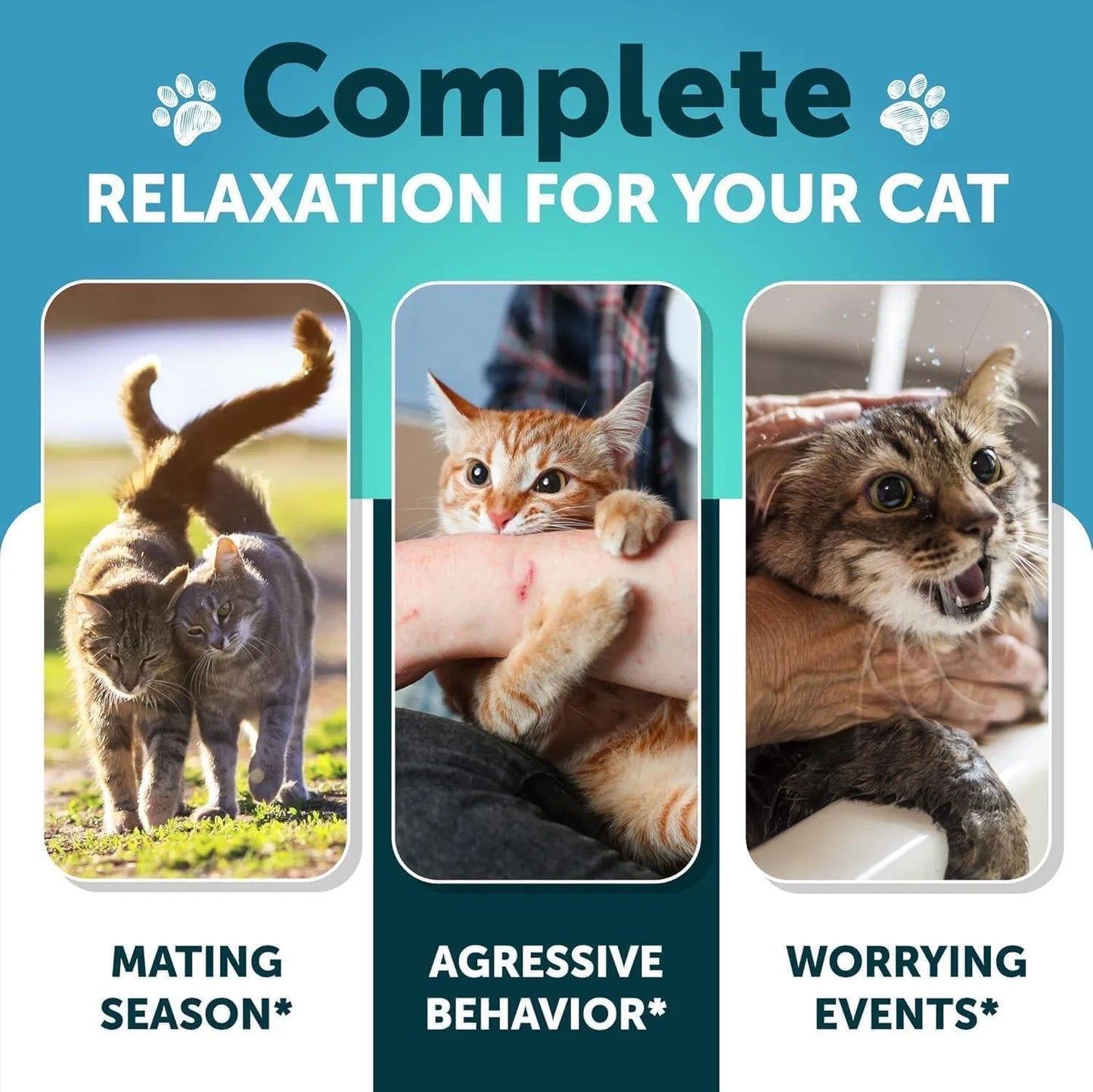 Cat Calming Treats for Anxiety & Stress Relief 🐱 | Soft Chews with L-Theanine, Hemp Oil & Vitamin B – Stop Scratching, Aggression & Overgrooming | Relaxation Support for Cats & Kittens