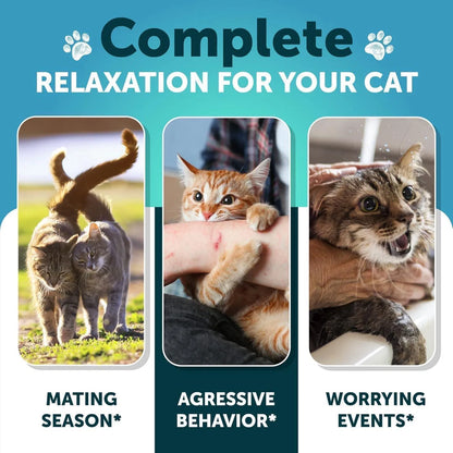 Cat Calming Treats for Anxiety & Stress Relief 🐱 | Soft Chews with L-Theanine, Hemp Oil & Vitamin B – Stop Scratching, Aggression & Overgrooming | Relaxation Support for Cats & Kittens