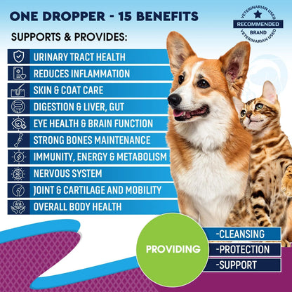 Ultimate 15-in-1 Cat & Dog Multivitamin Drops | Cranberry for Urinary Health, Hip & Joint Support, Skin & Coat Boost – 60ml Natural Pet Supplement