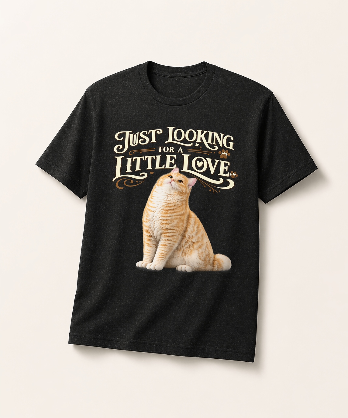 Just Looking for a Little Love Cat T-Shirt 🐱 | Cozy Aesthetic Tee for Cat Lovers | Soft Vintage Style Shirt