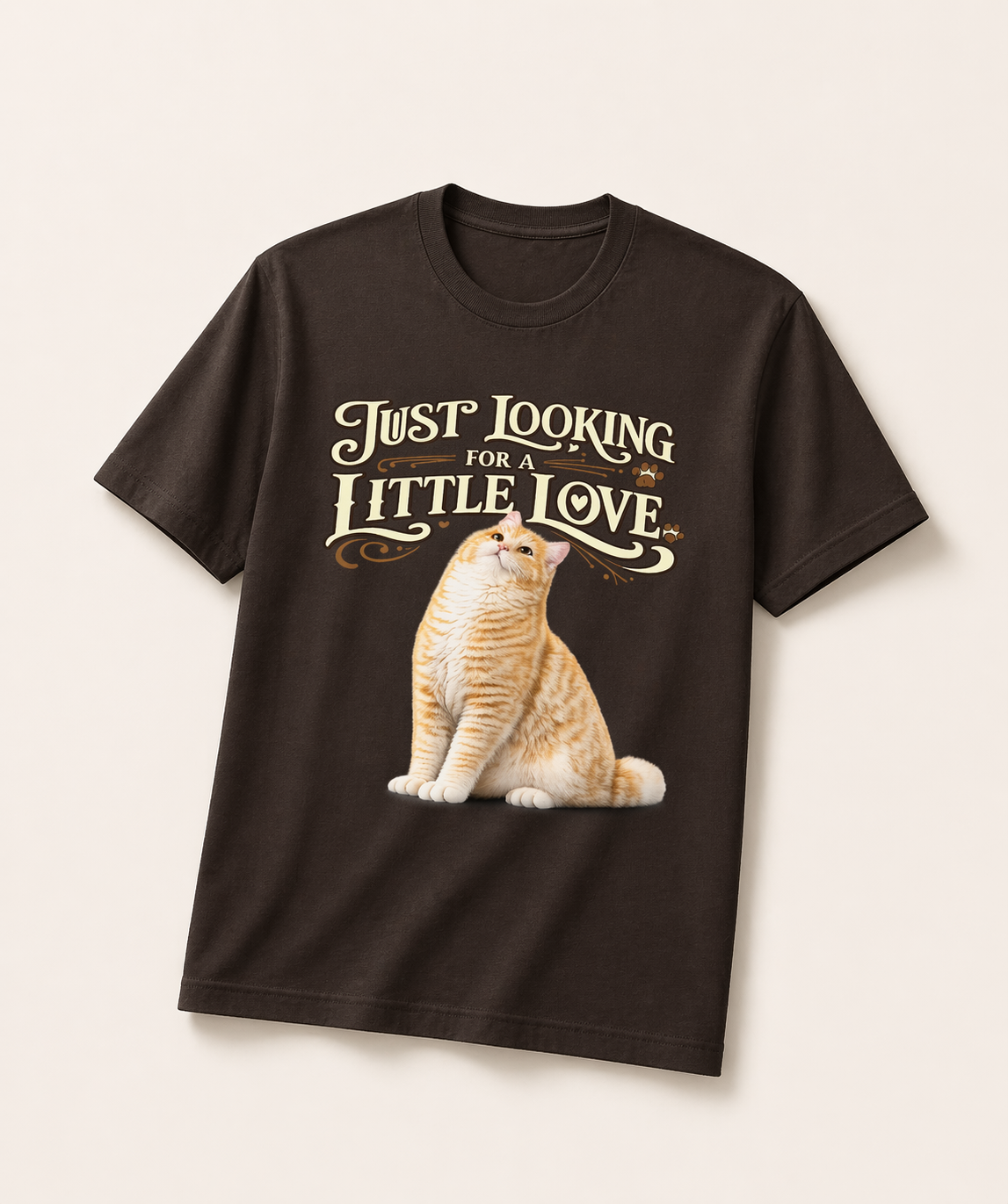 Just Looking for a Little Love Cat T-Shirt 🐱 | Cozy Aesthetic Tee for Cat Lovers | Soft Vintage Style Shirt