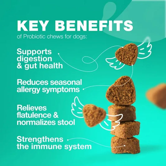 Dog Probiotics Chews for Gut Health & Digestion 🐶 | 180 Soft Treats with Enzymes, Pumpkin & Yeast Balance for Immunity, Itchy Skin & Allergy Relief