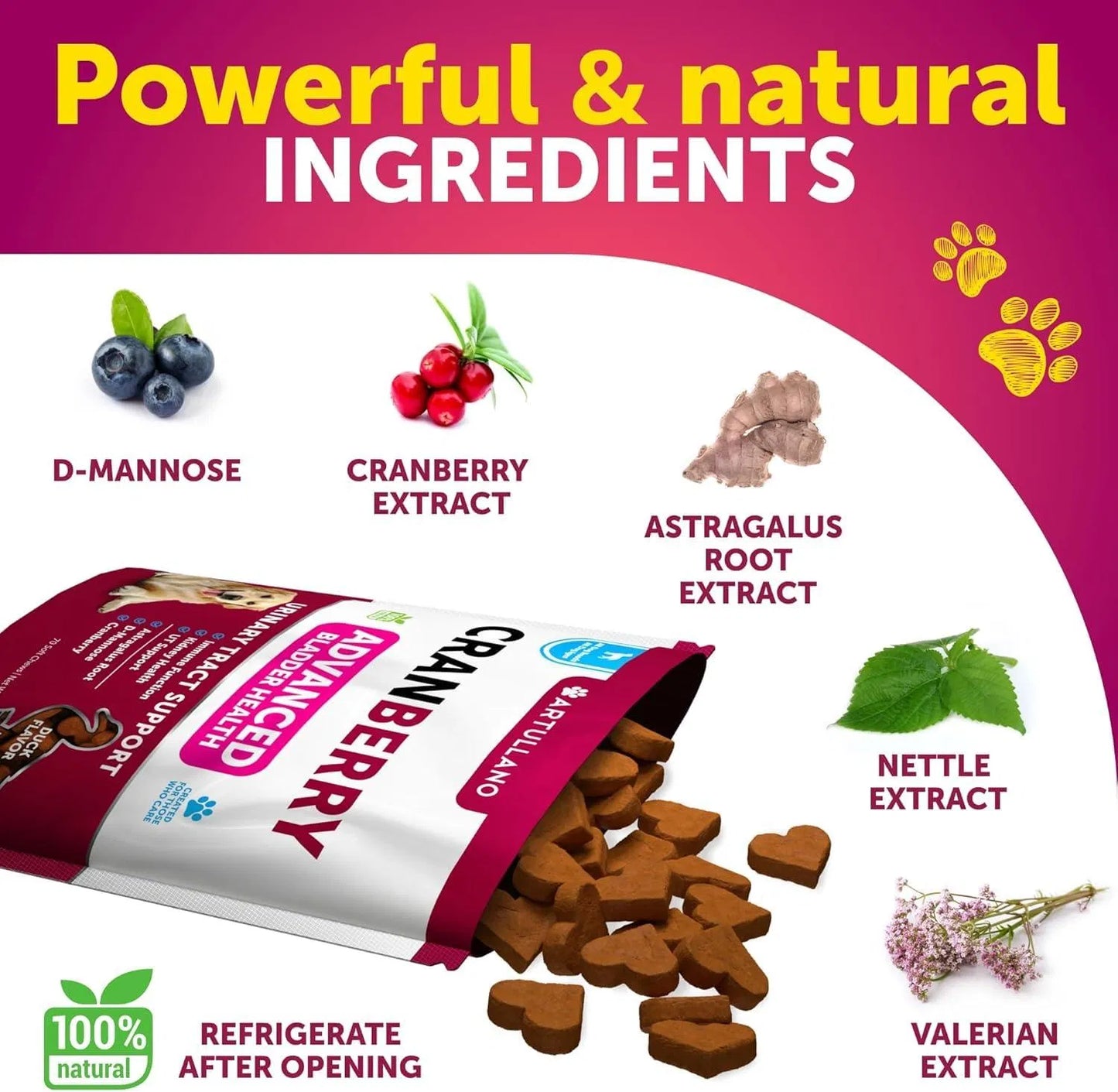 Dog UTI Treatment Cranberry Supplement 🐾 | Urinary Tract & Bladder Control Soft Chews for Dogs | Kidney Support with D-Mannose, Duck Flavor (70 Chews)