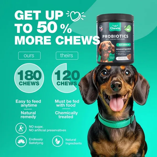 Dog Probiotics Chews for Gut Health & Digestion 🐶 | 180 Soft Treats with Enzymes, Pumpkin & Yeast Balance for Immunity, Itchy Skin & Allergy Relief
