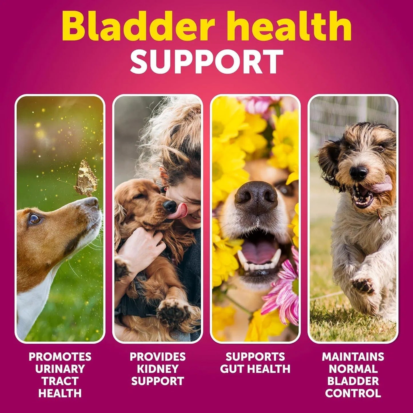 Dog UTI Treatment Cranberry Supplement 🐾 | Urinary Tract & Bladder Control Soft Chews for Dogs | Kidney Support with D-Mannose, Duck Flavor (70 Chews)