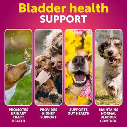 Dog UTI Treatment Cranberry Supplement 🐾 | Urinary Tract & Bladder Control Soft Chews for Dogs | Kidney Support with D-Mannose, Duck Flavor (70 Chews)